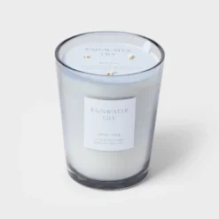 Colored Vase Glass With Dustcover Rainwater Lily Candle Gray - Threshold™ -Baxton Studio Sales Store GUEST 1a738ead 7e7a 4f46 b4ff 79439b3488d0