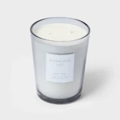 Colored Vase Glass With Dustcover Rainwater Lily Candle Gray - Threshold™ -Baxton Studio Sales Store GUEST 4dd3a894 6c80 4248 a2de 93743bf8dee9