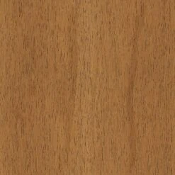 2pk Timo Dining Chair Cream - Threshold™ -Baxton Studio Sales Store GUEST 5d779e0e 0b3d 4661 9e88 19bec517fd72