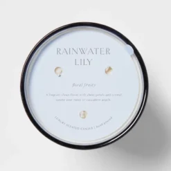 Colored Vase Glass With Dustcover Rainwater Lily Candle Gray - Threshold™ -Baxton Studio Sales Store GUEST 6efd91a6 961e 4e90 a80c c65ad3c57740