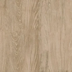 72" Loring 5 Shelf Ladder Bookshelf - Threshold™ -Baxton Studio Sales Store GUEST 771ef4ce 705a 492f 85e4 f9b4d952e4c0