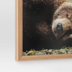 20" X 16" Bear Photography Framed Art Brown - Threshold™ -Baxton Studio Sales Store GUEST 8d29808a 8d0a 4121 a8c8 64d15cc45658