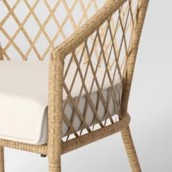 Exmore 2pk Barrel Patio Dining Chairs - Threshold™ -Baxton Studio Sales Store GUEST 8f6893c9 330a 4cb4 995d bb069340ddcc