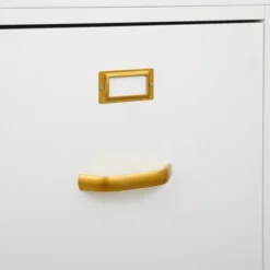 Dixie 2 Drawer Cabinet Green - Buylateral -Baxton Studio Sales Store GUEST 9e9469de 446f 4532 8c80 36462f11c814