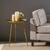 Everts Modern Accent Table Brass - Christopher Knight Home
