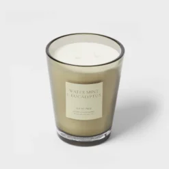 Colored Vase Glass With Dustcover Watermint And Eucalyptus Candle Green - Threshold™ -Baxton Studio Sales Store GUEST c7ced8f8 1486 4167 bf53 4e77271a3df4