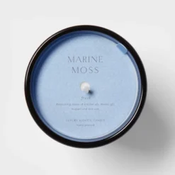 Colored Vase Glass With Dustcover Marine Moss Candle Blue - Threshold™ -Baxton Studio Sales Store GUEST e5035607 20cd 4e66 bc9b 502503c48b69